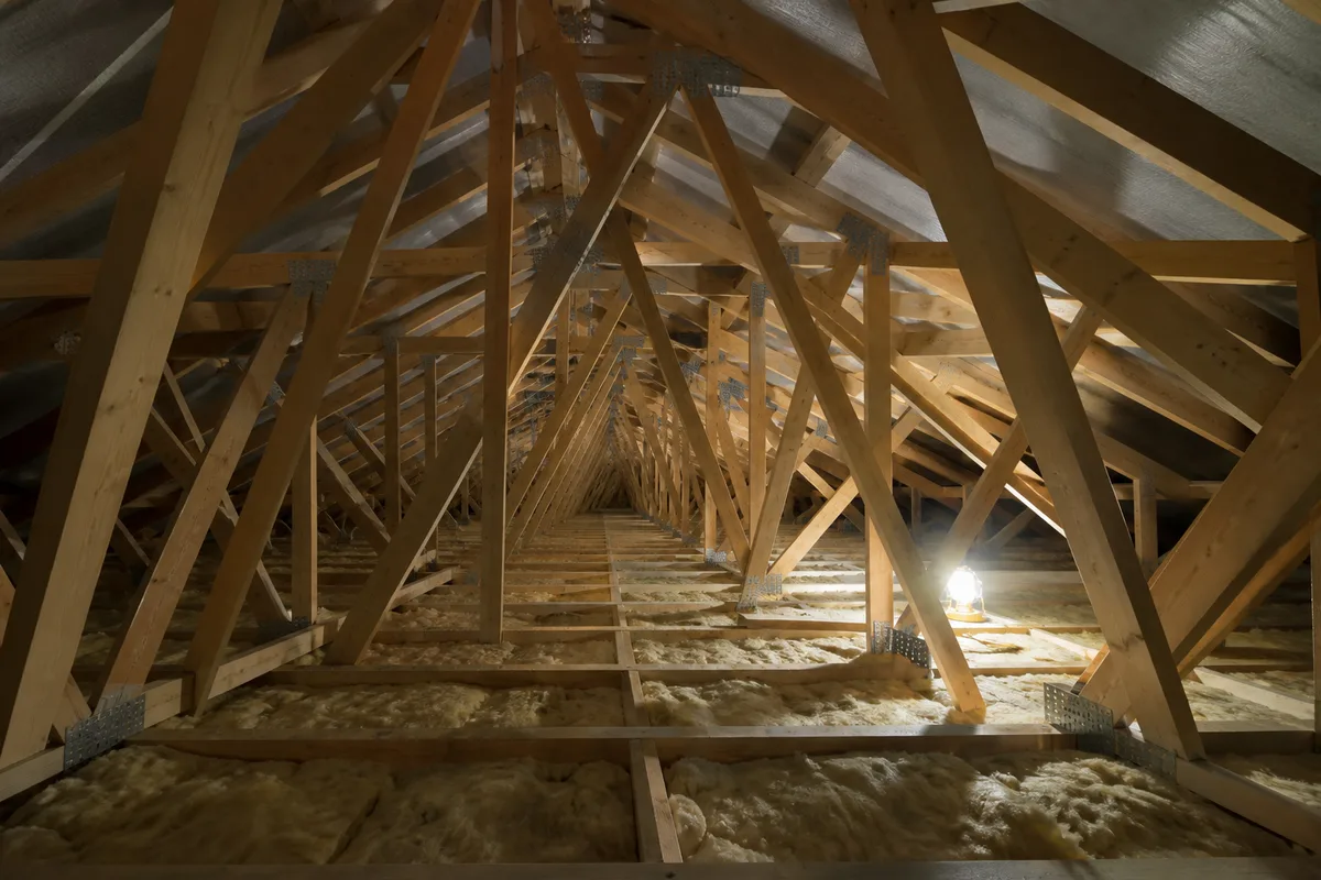 Charpente à fermettes en W dans un comble non aménagé, structure en bois vue en enfilade, éclairage rasant