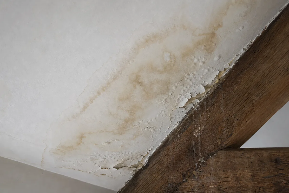 Traces d’infiltration et auréoles d’humidité sur un plafond de combles aménagés
