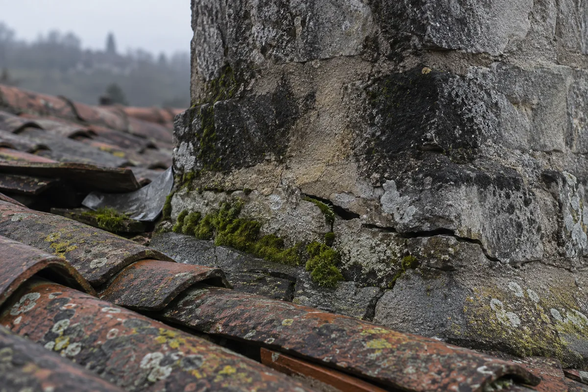 Ancien solin en mortier fissuré au pied d&rsquo;une souche de cheminée envahie de mousse